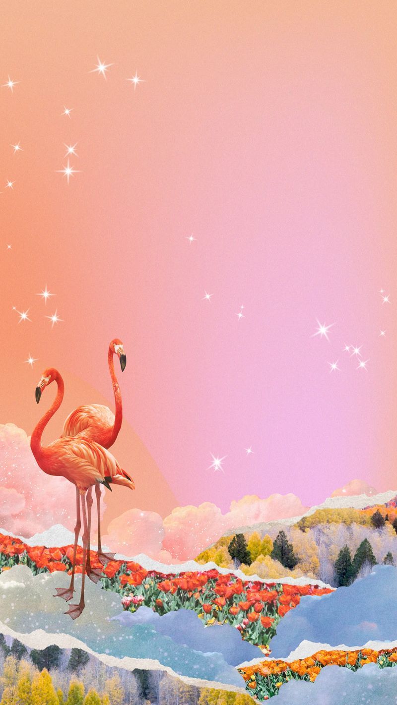 Aesthetic wallpaper with two flamingos standing on a snowy hill. - Flamingo