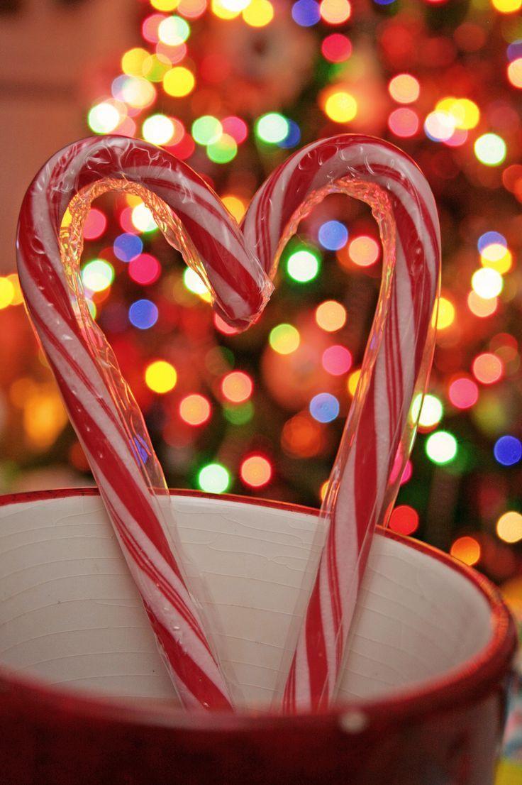 Christmas Candy Canes Wallpaper