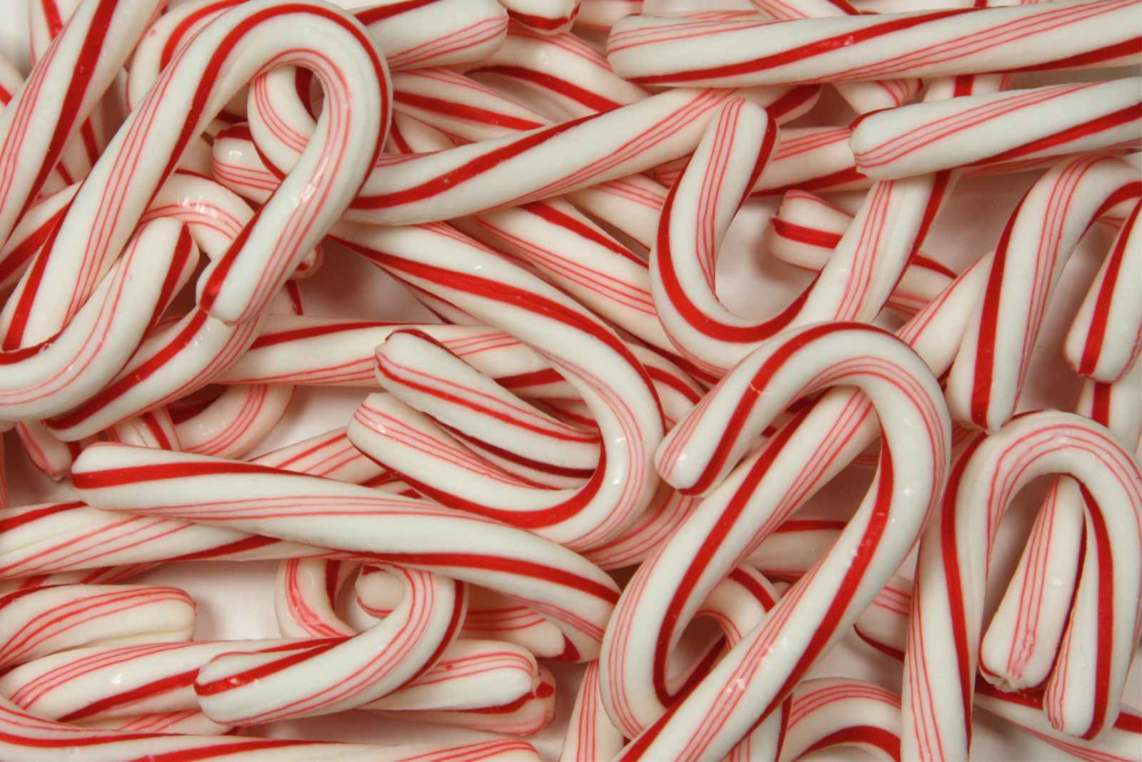 Free download Candy Cane Wallpaper [1600x1068] for your Desktop, Mobile & Tablet. Explore Candy Cane Wallpaper. Candy Cane Background, Candy Cane Background, Candy Cane Wallpaper Desktop