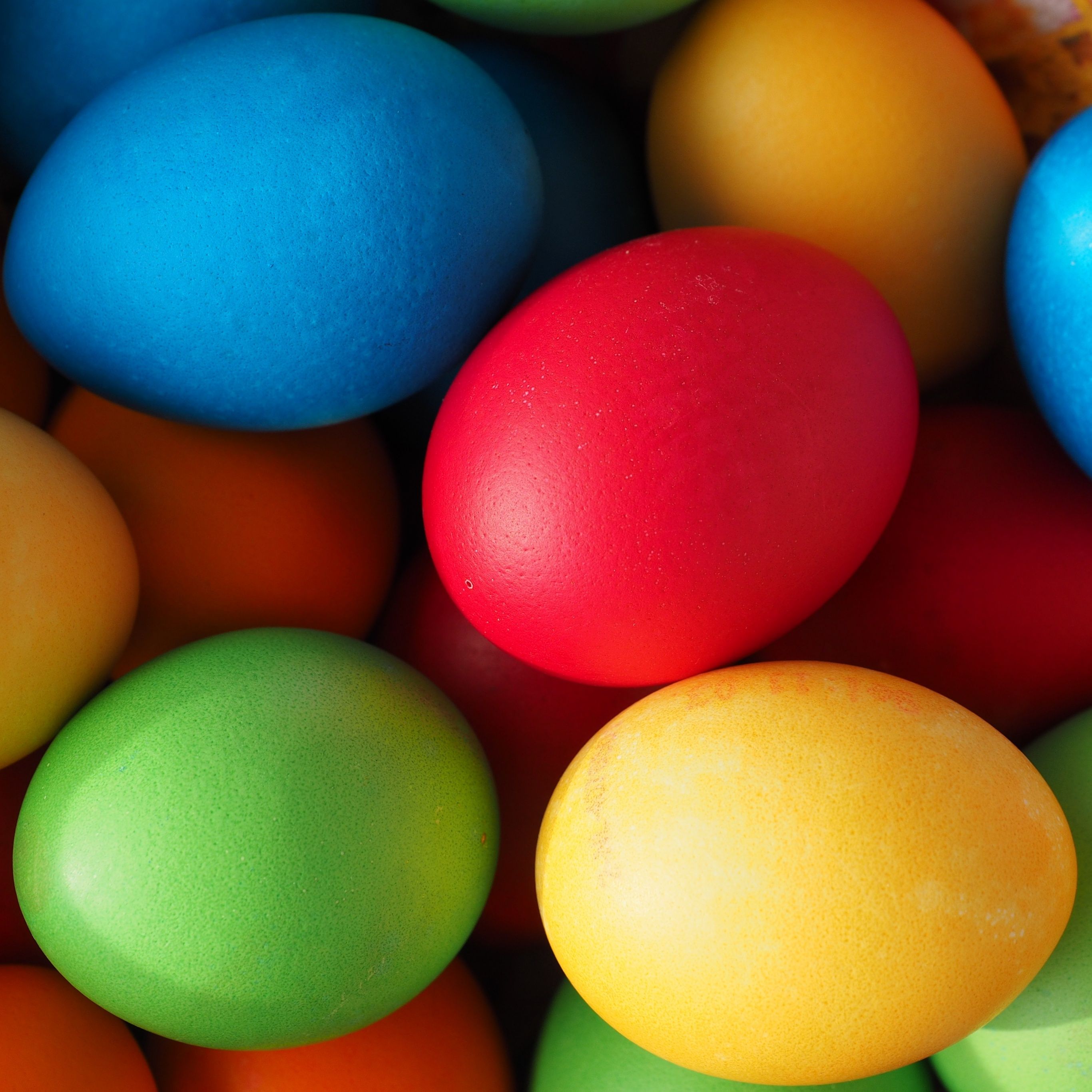 A close up of many colorful easter eggs - Egg