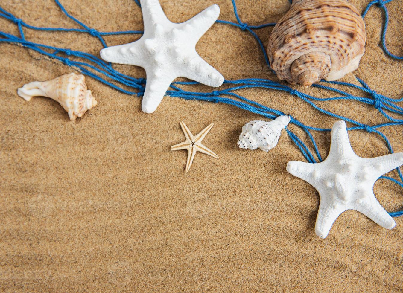 Shells, starfish and fishing net on the beach - Starfish