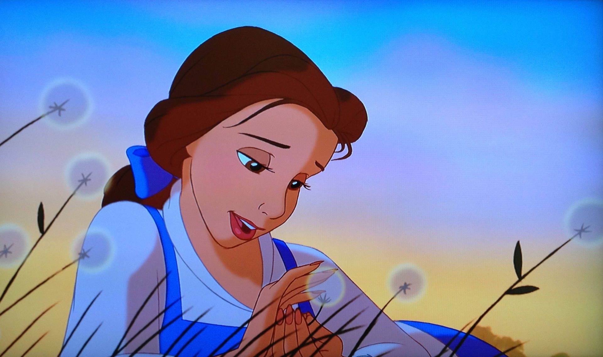Download Cartoon Disney Princess Belle Wallpaper