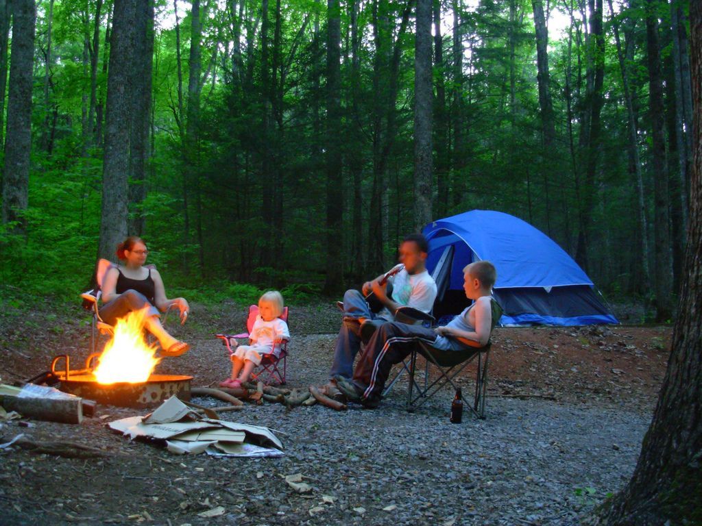 A family sits around a campfire in the woods. - Camping