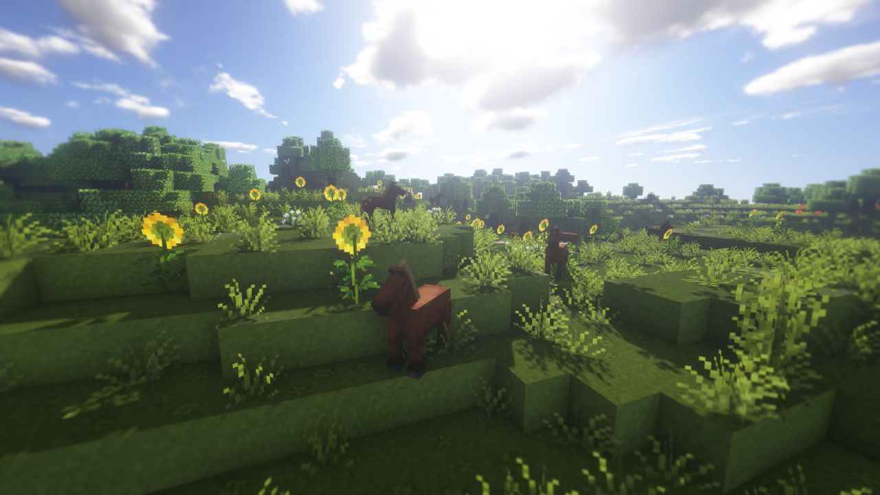 A Minecraft screenshot of a field with sunflowers and cows. - Minecraft