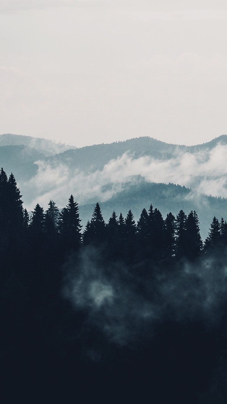 A mountain with fog and trees - Mountain