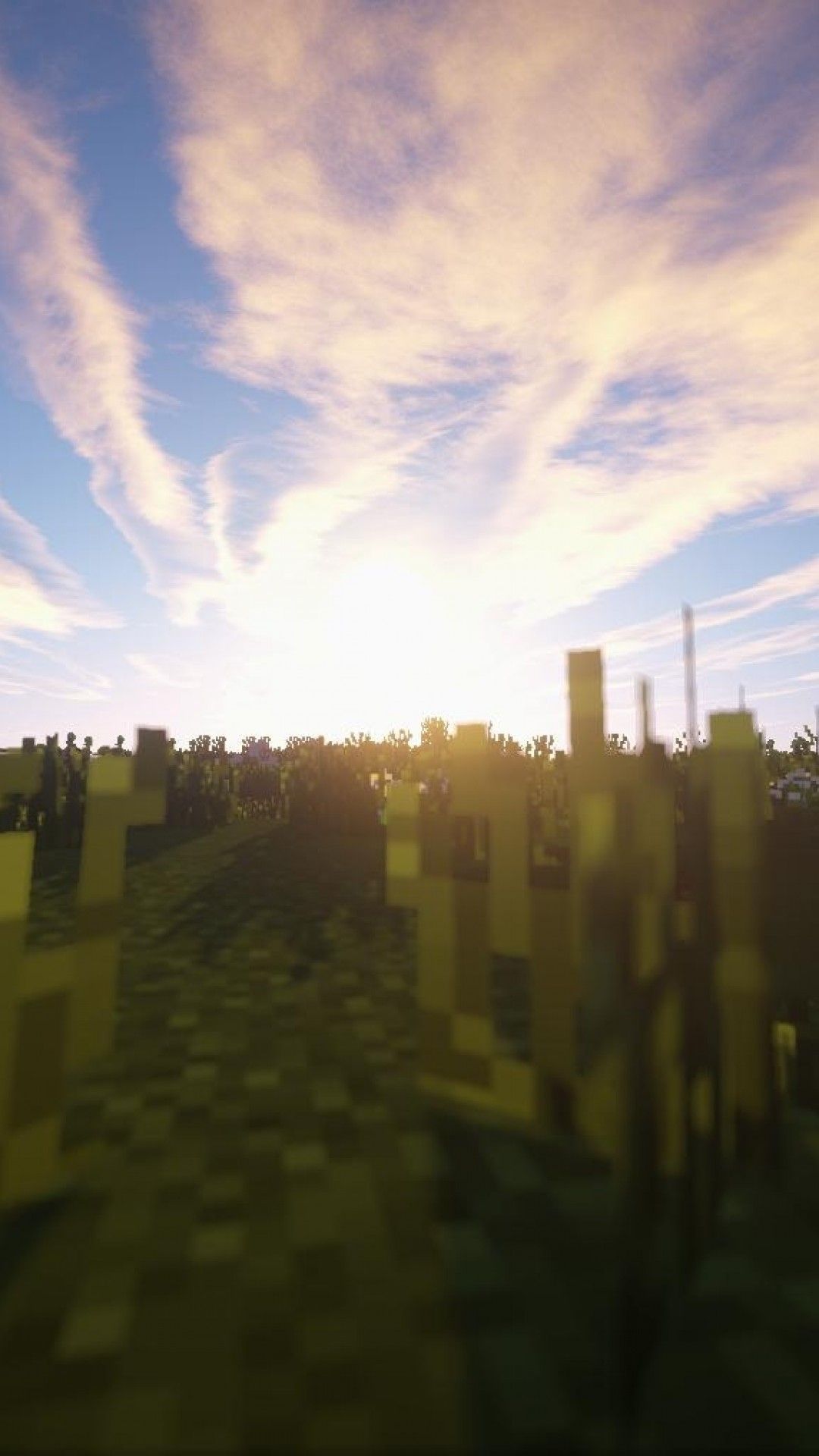 Minecraft phone wallpaper with a grassy hillside at sunset - Minecraft
