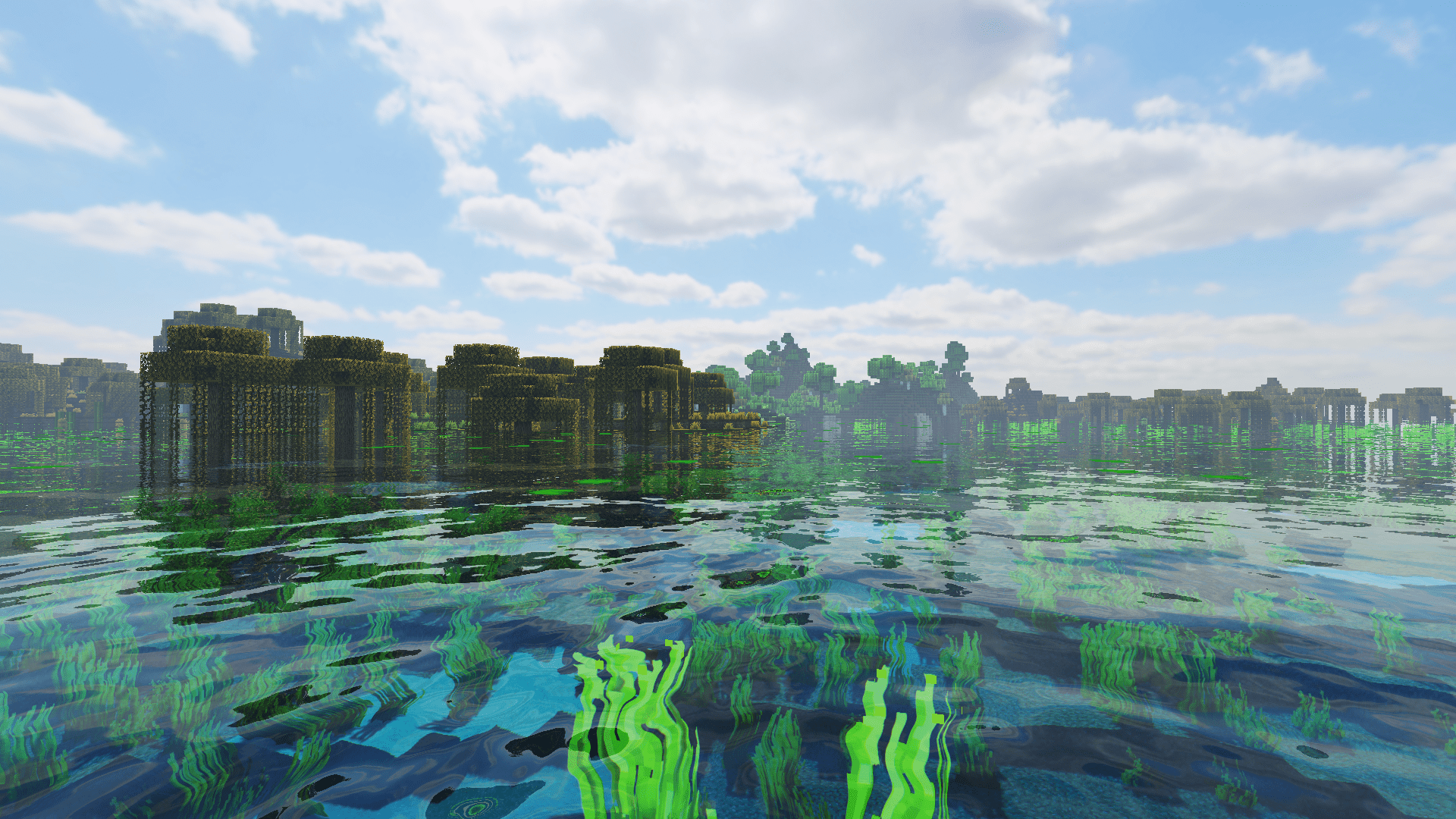 A picture of some water with green plants - Minecraft