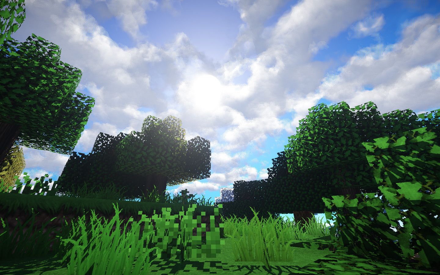 A grassy field with trees and clouds in the background - Minecraft