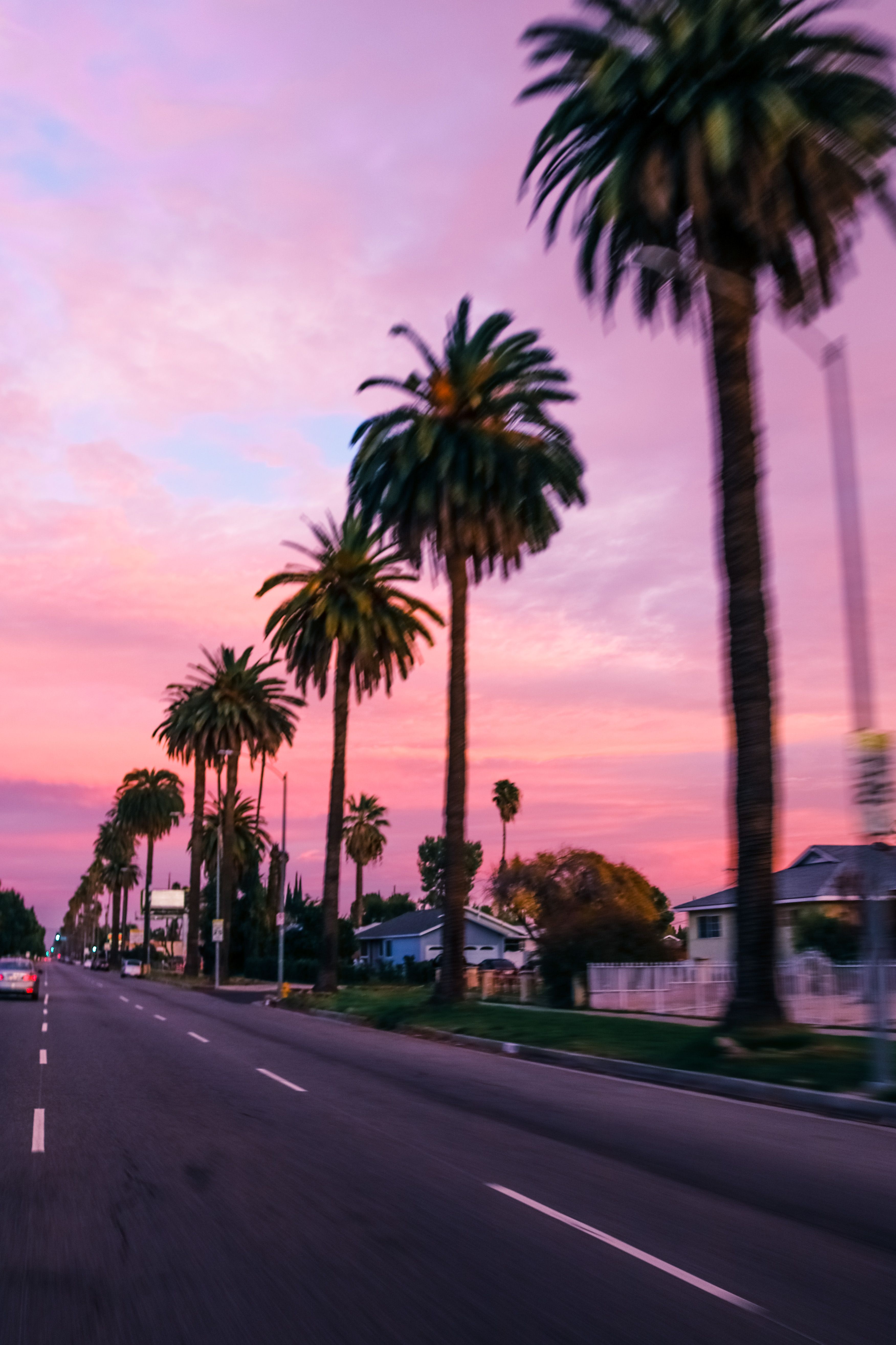 A car driving down the street with palm trees - California