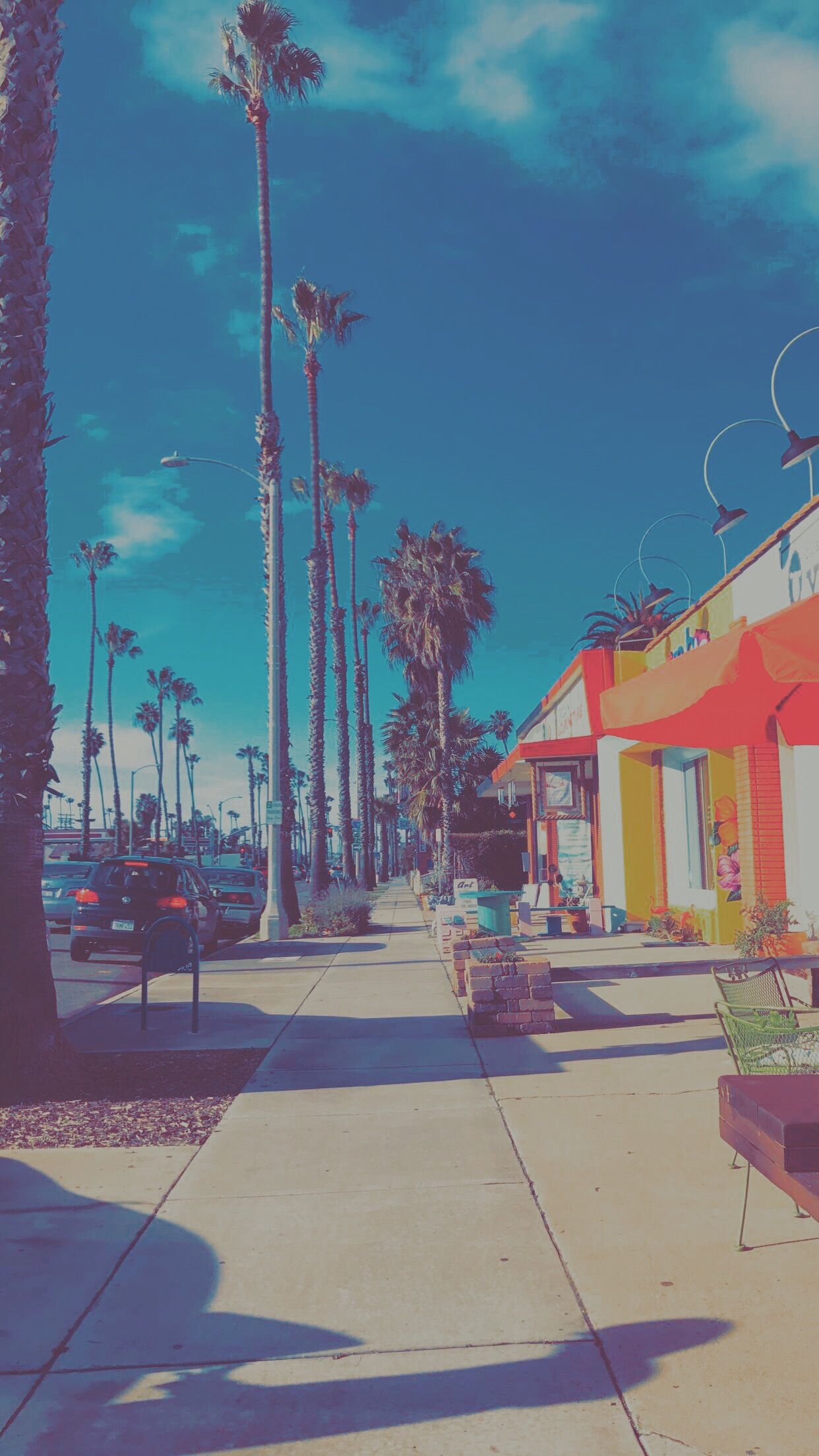 A street with palm trees and buildings - California