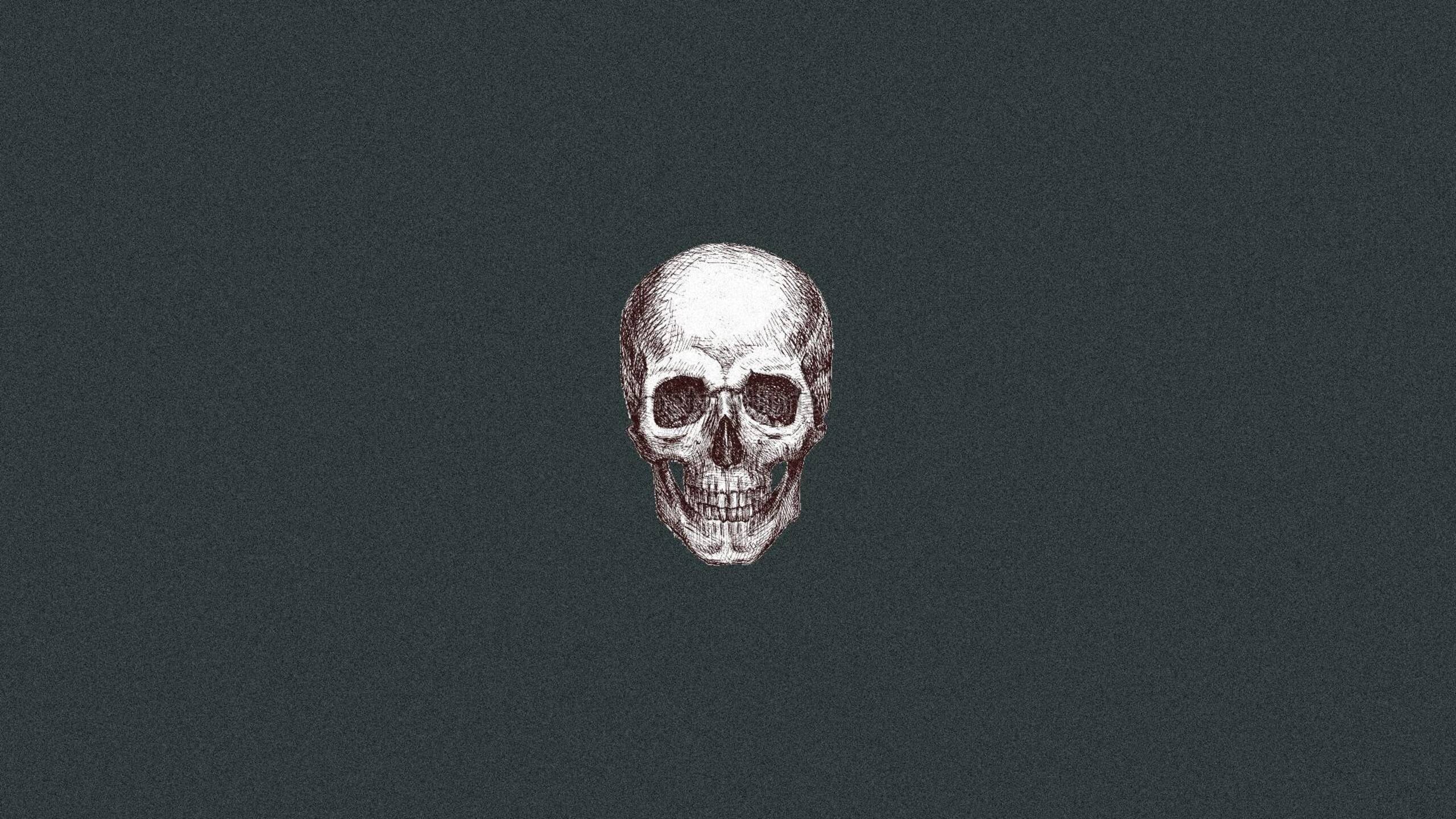 Skull Art 3 1440P Resolution HD 4k Wallpaper, Image, Background, Photo and Picture