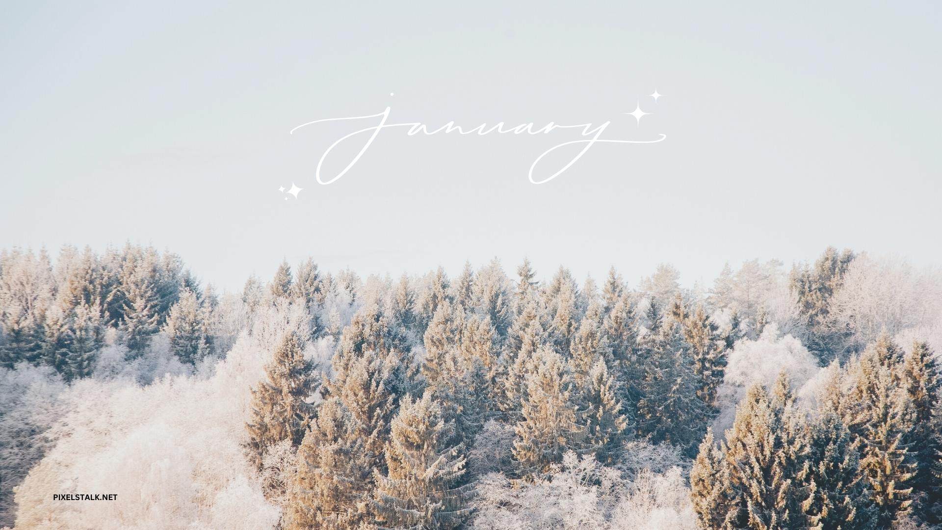 January Desktop Wallpaper HD Free download