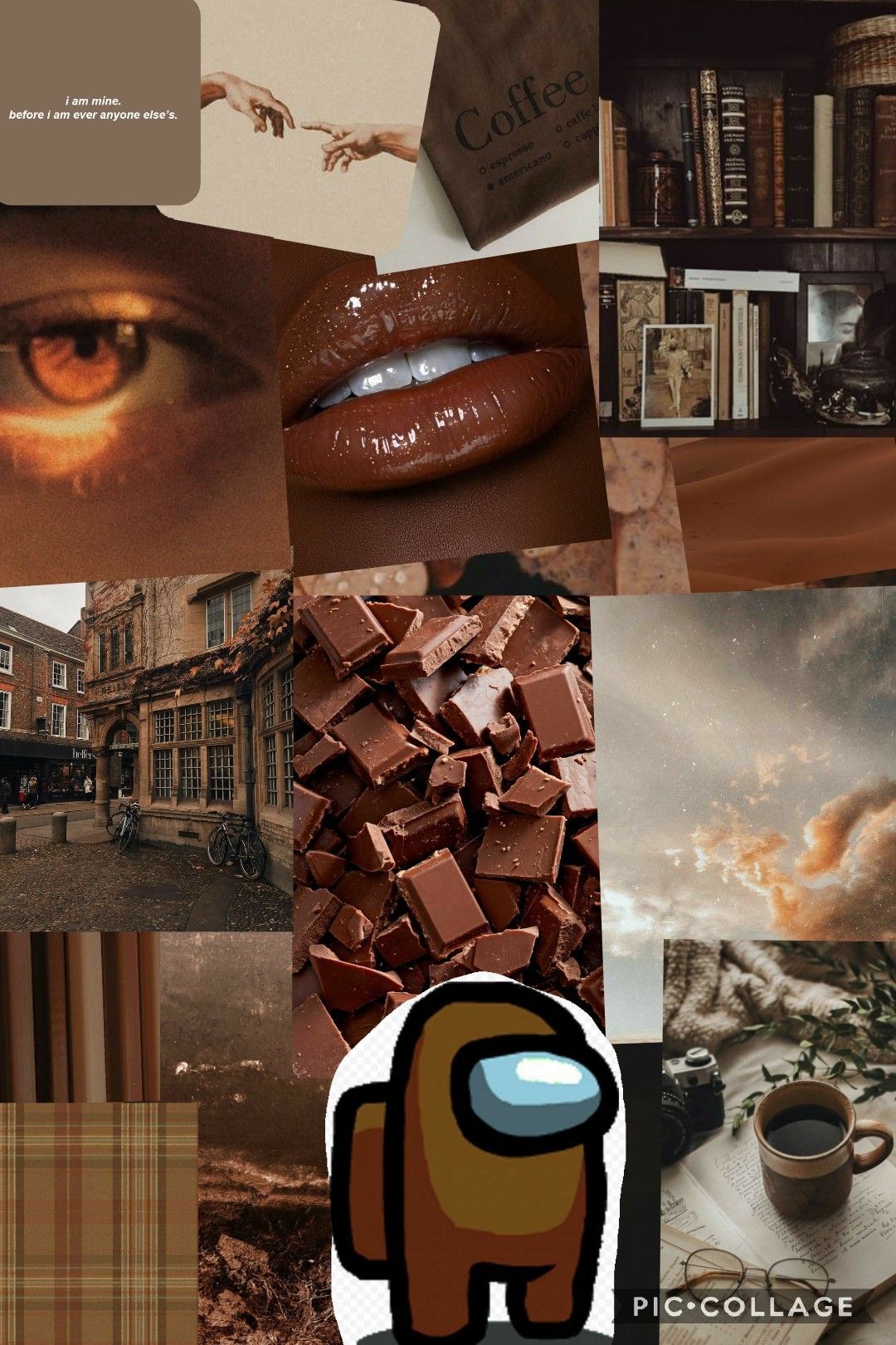 Aesthetic collage with brown and tan colors, featuring books, coffee, and a brown background. - Brown