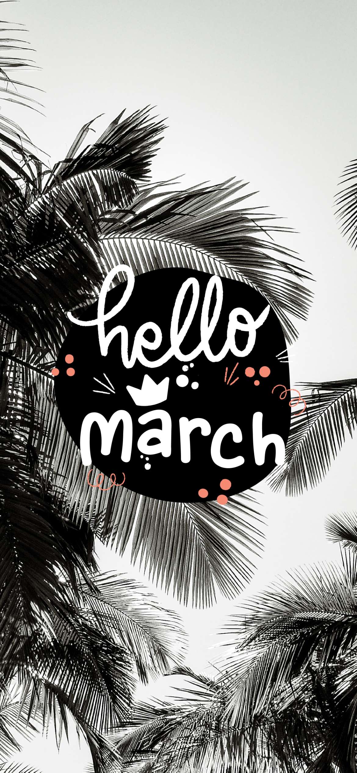 A black and white image of palm trees with the words hello march - March