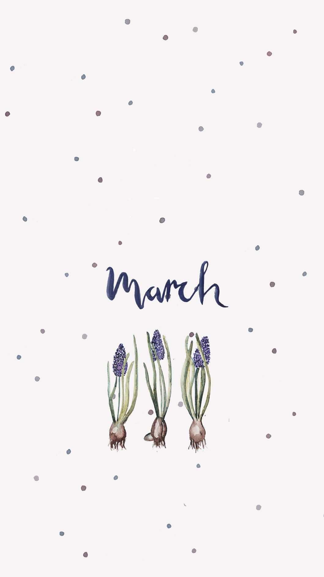 March phone wallpaper, purple flowers, hyacinth, spring, phone background - March