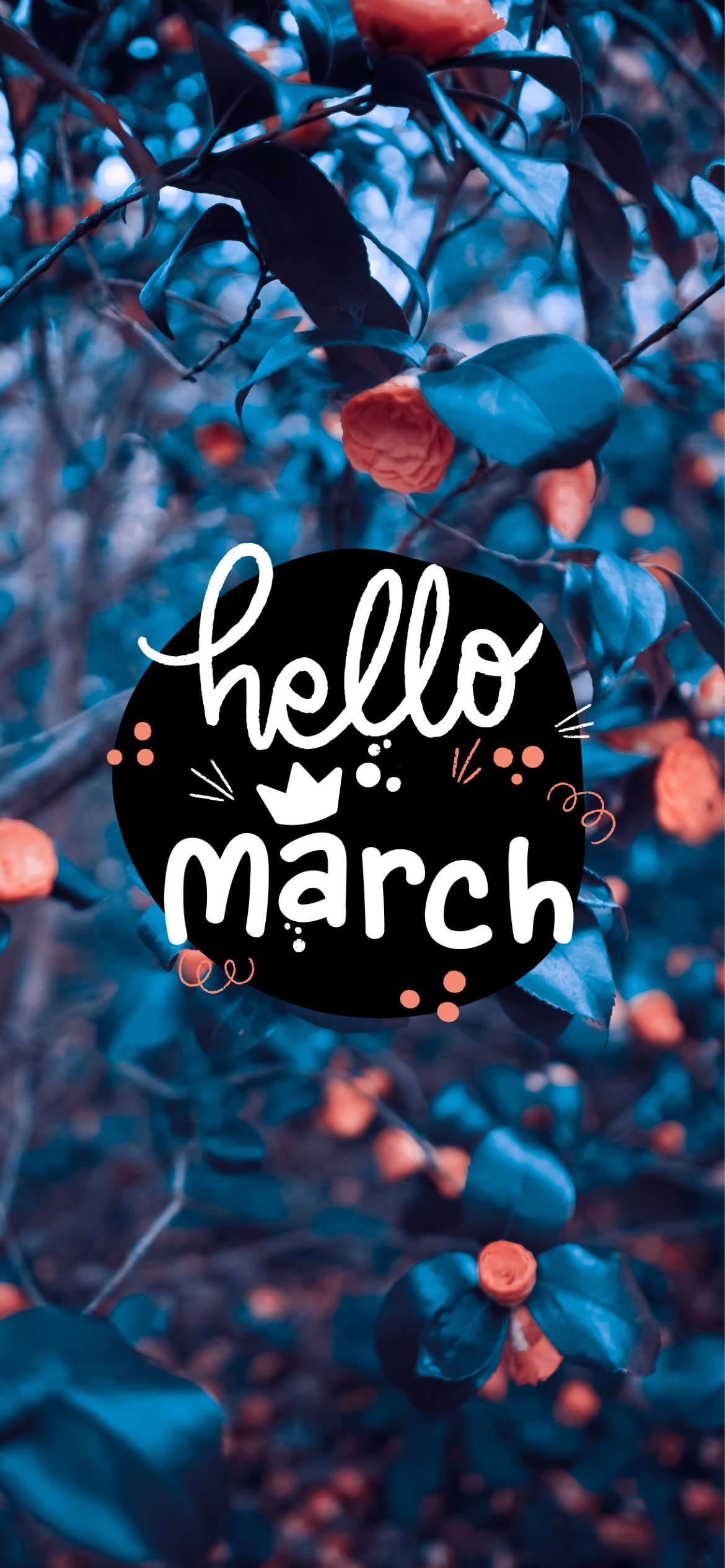 Hello March Aesthetic Wallpaper For Your Phone This Spring