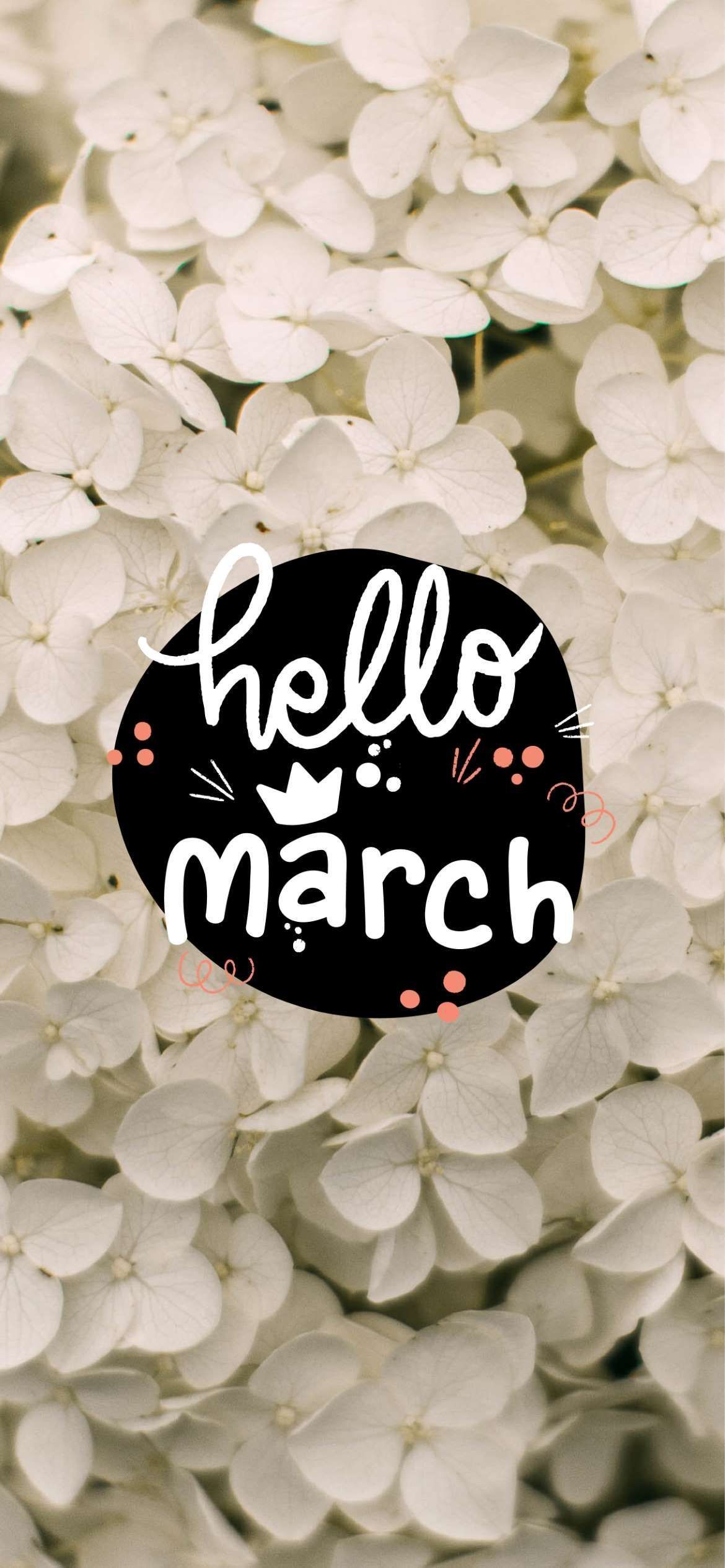 Hello March Aesthetic Wallpaper For Your Phone This Spring