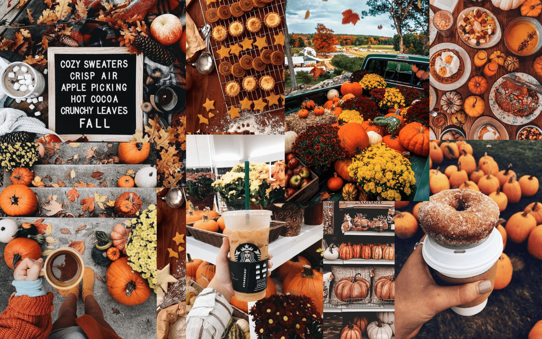 A collage of photos featuring pumpkins, leaves, and coffee. - Thanksgiving