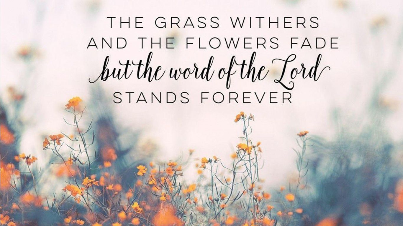 The grass withers and flowers fade but words forever stand - Jesus