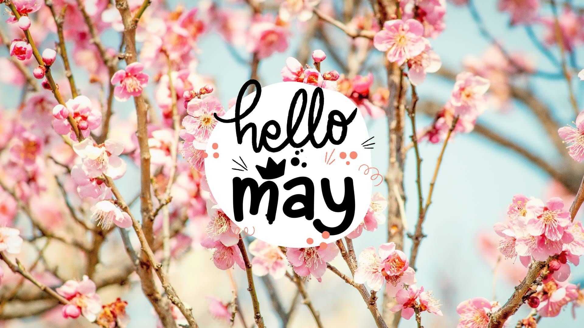 Hello May, wallpaper, flowers, pink, may, spring, wallpaper, background, season, 1920x1080, HD, high definition, 1080p - May