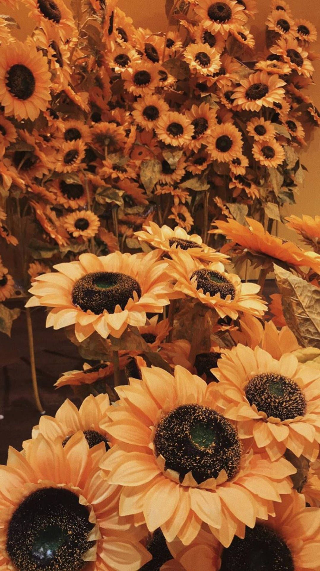Aesthetic wallpaper of sunflowers in a vase - Orange, pastel orange, warm