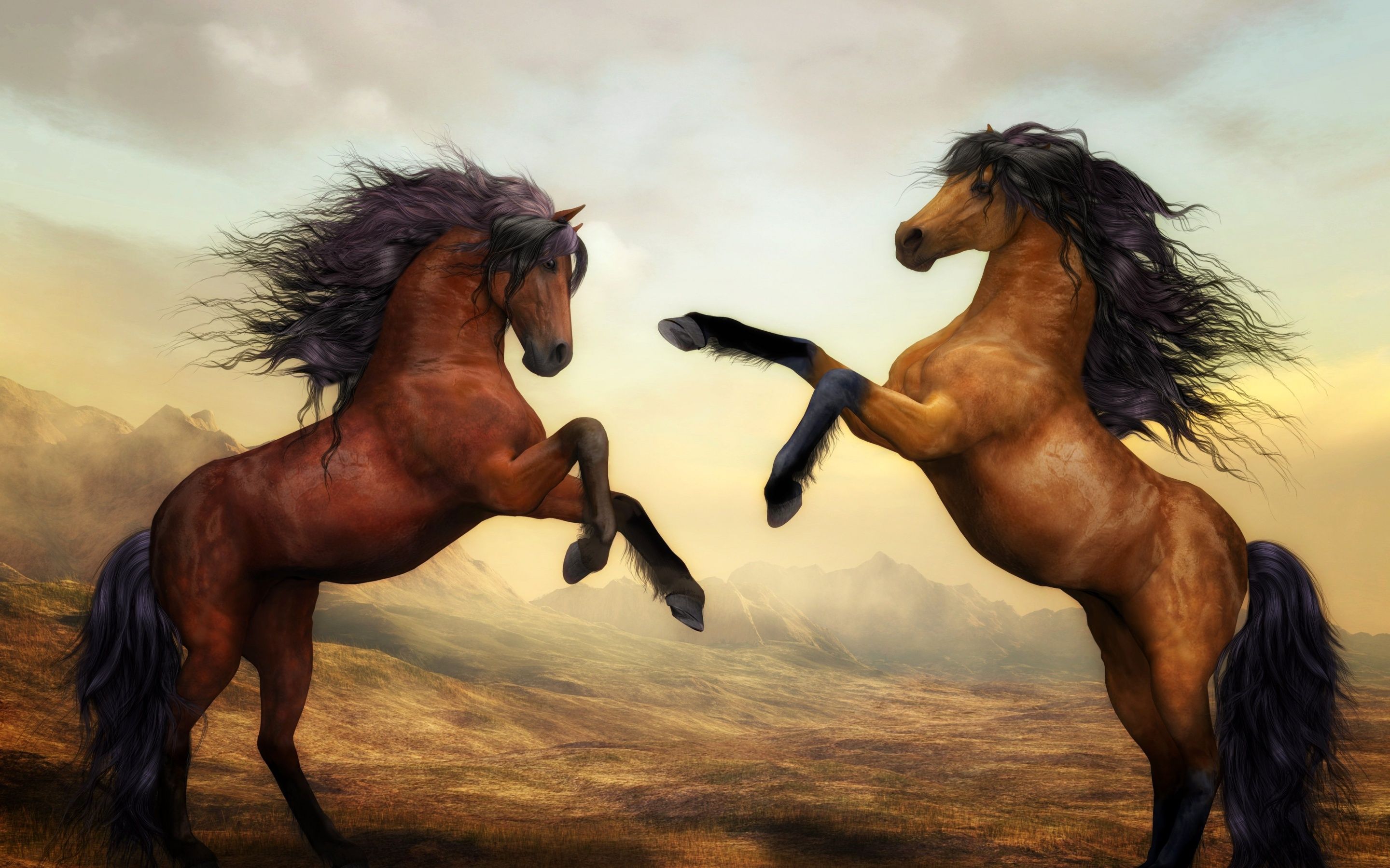 Two horses rearing up in the wild - Horse