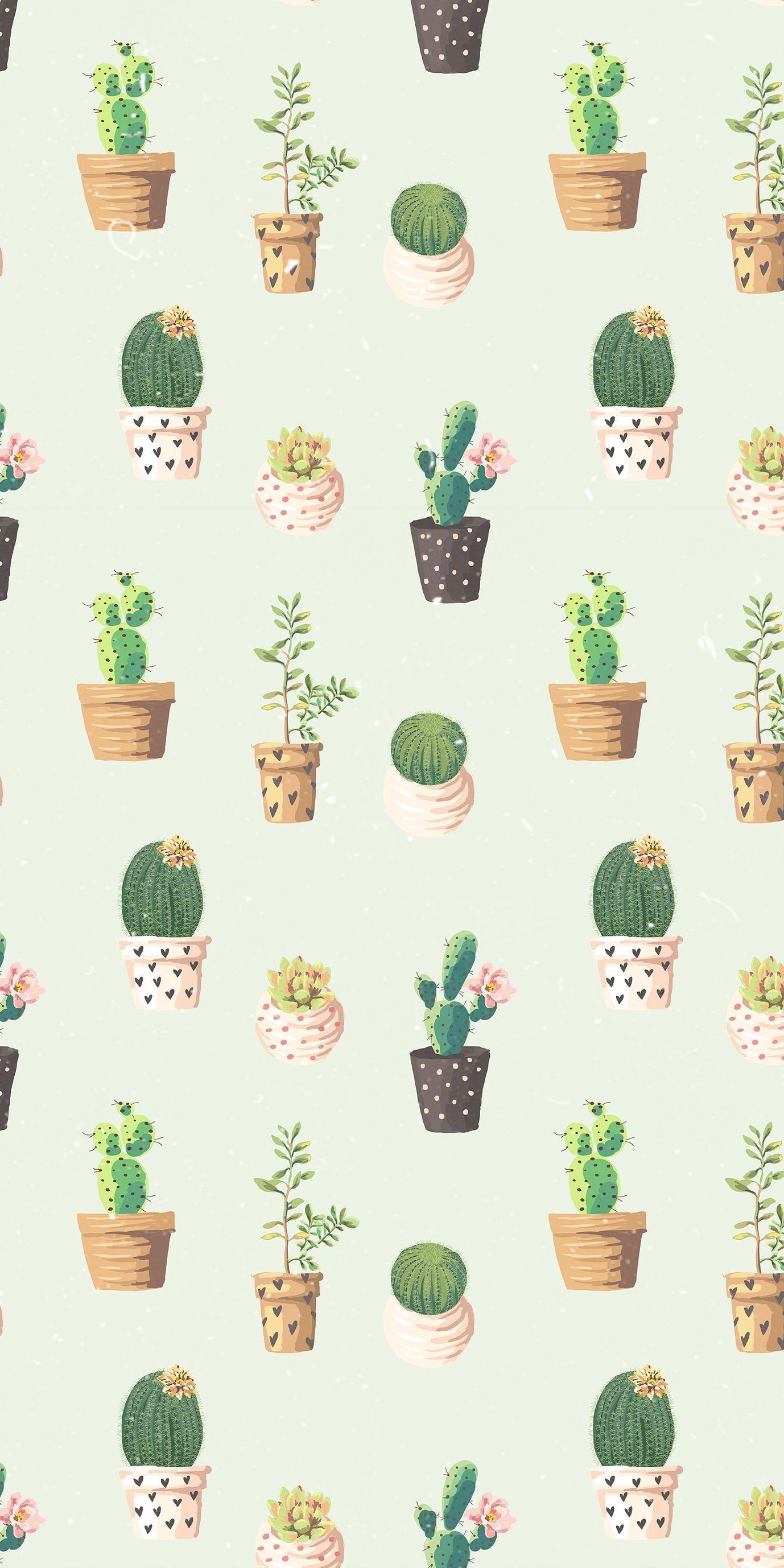 Questo articolo non è disponibile. iPhone wallpaper plants, Succulents wallpaper, iPhone wallpaper landscape