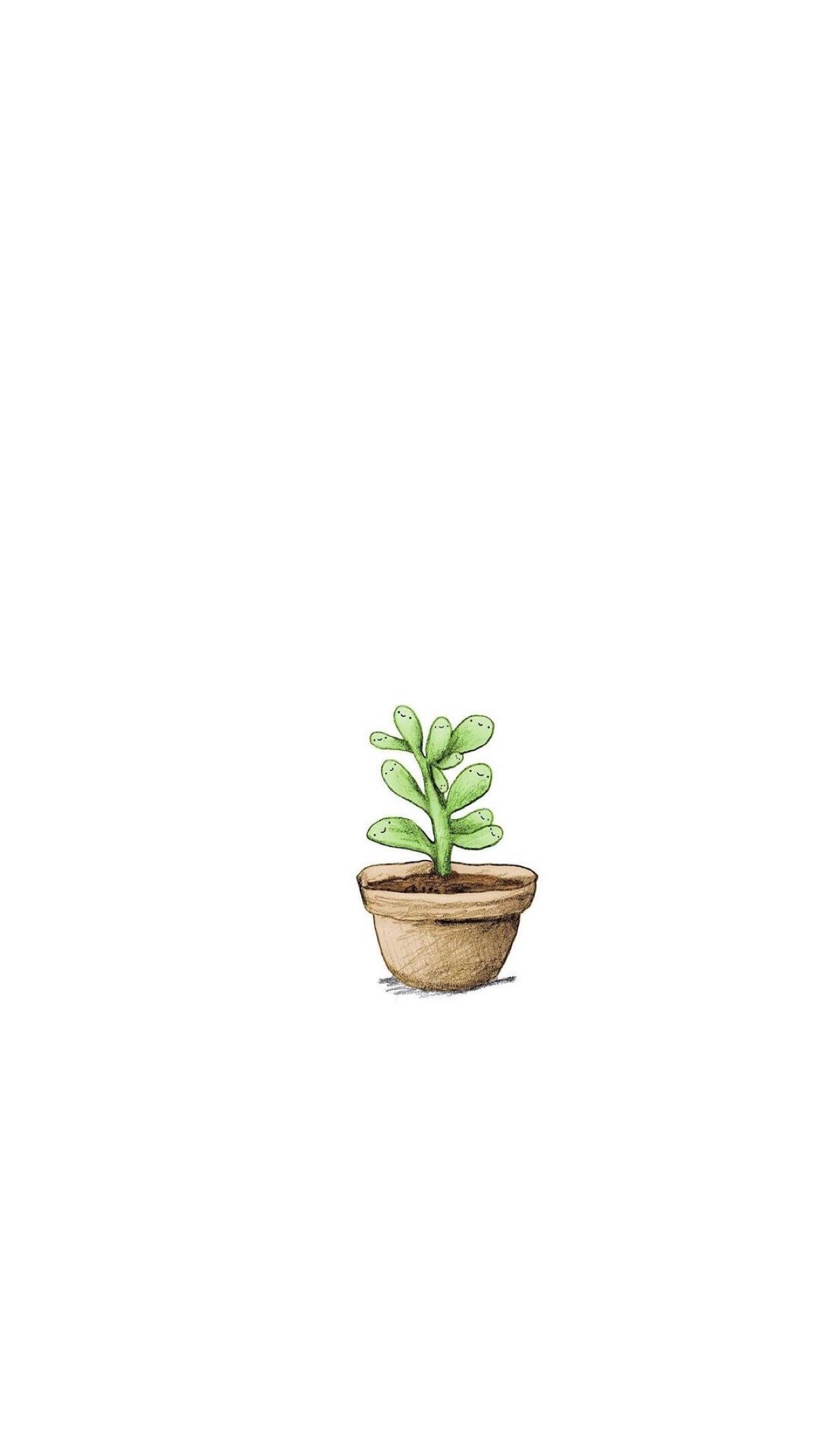A drawing of an indoor plant in pot - Cactus, succulent