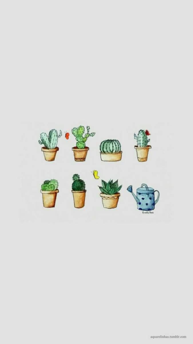 A cute and simple wallpaper of some cacti. - Cactus