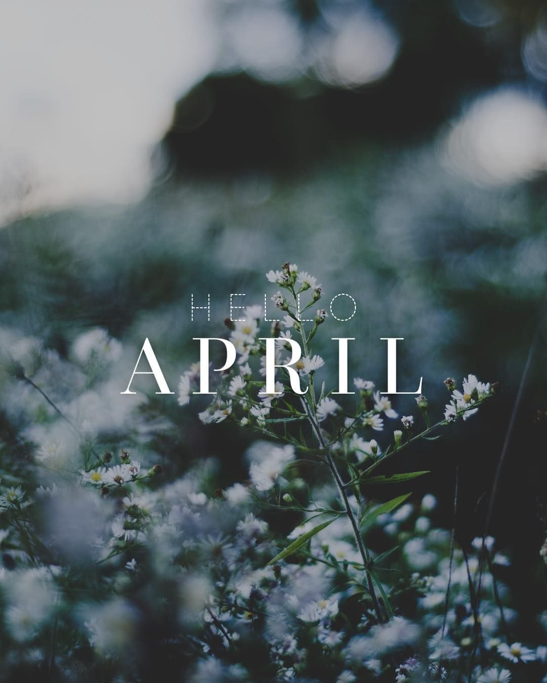 PicLab™ on Instagram: “Hello, April! Please be good to us. #PicLab”. Spring wallpaper, Christmas aesthetic wallpaper, Nature