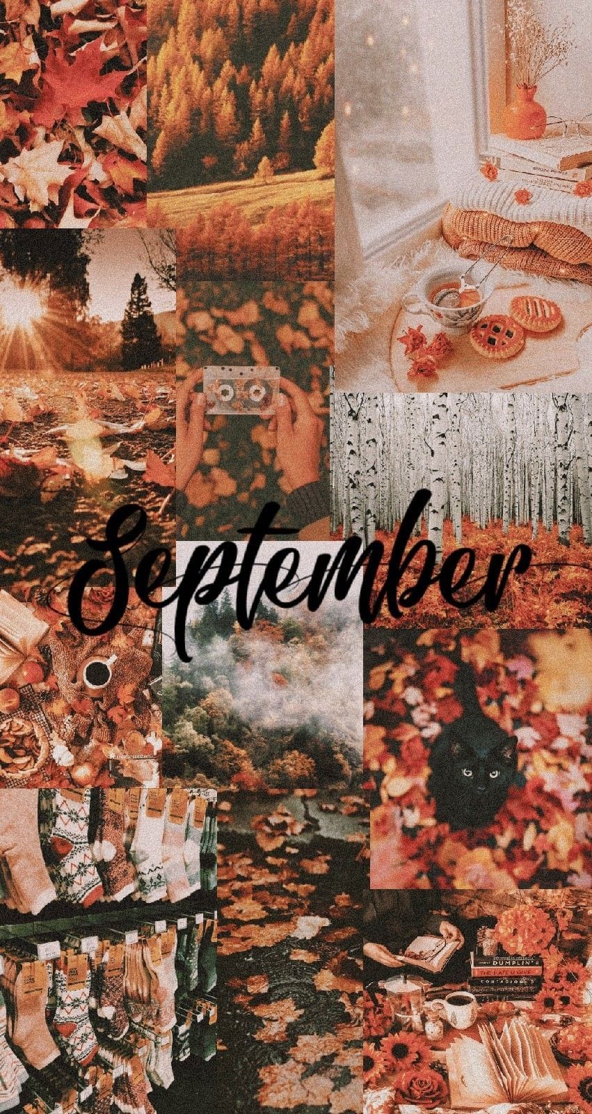 A collage of pictures with the word september - September