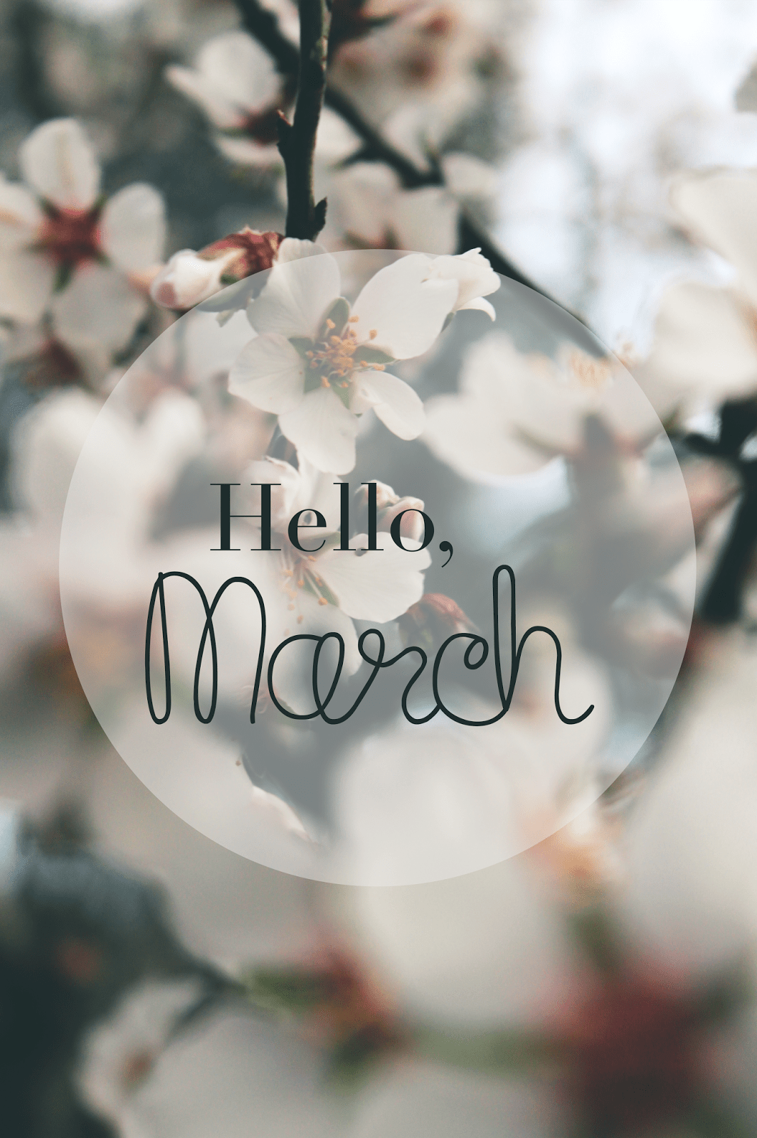 Hello March Wallpaper Free Hello March Background