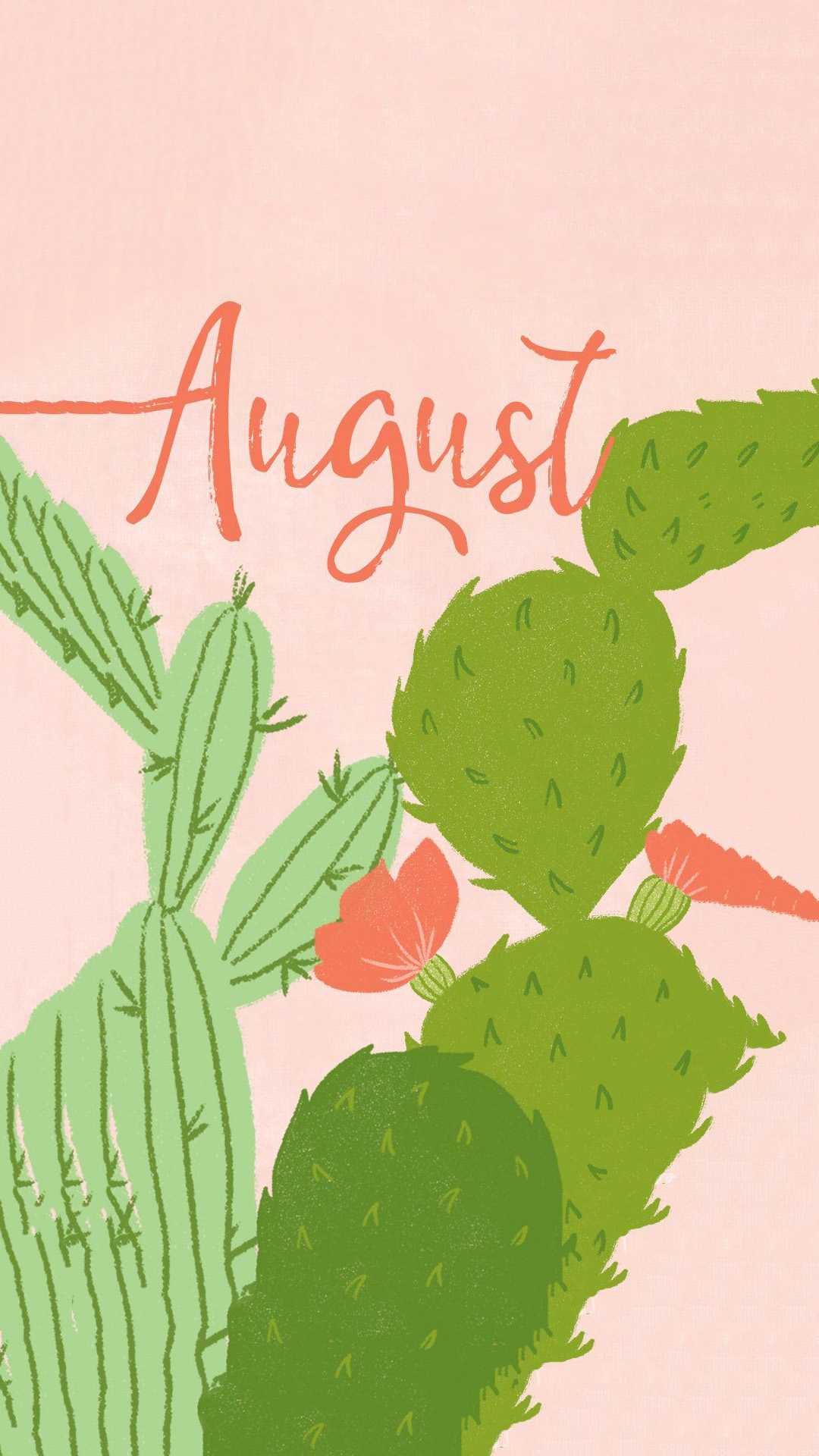 August wallpaper phone background with cactus and pink background - August