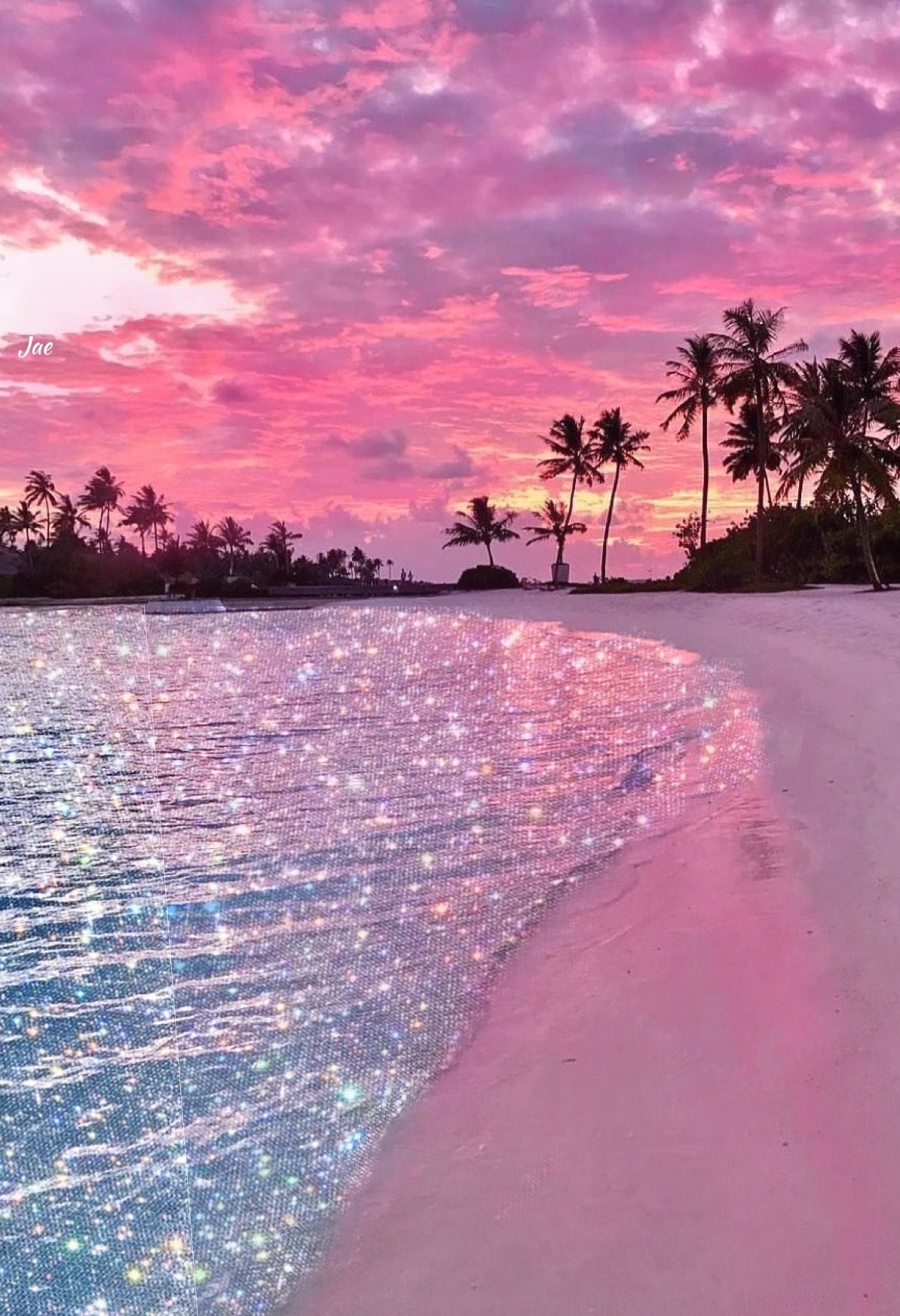 A beach with palm trees and a pink sky - Florida
