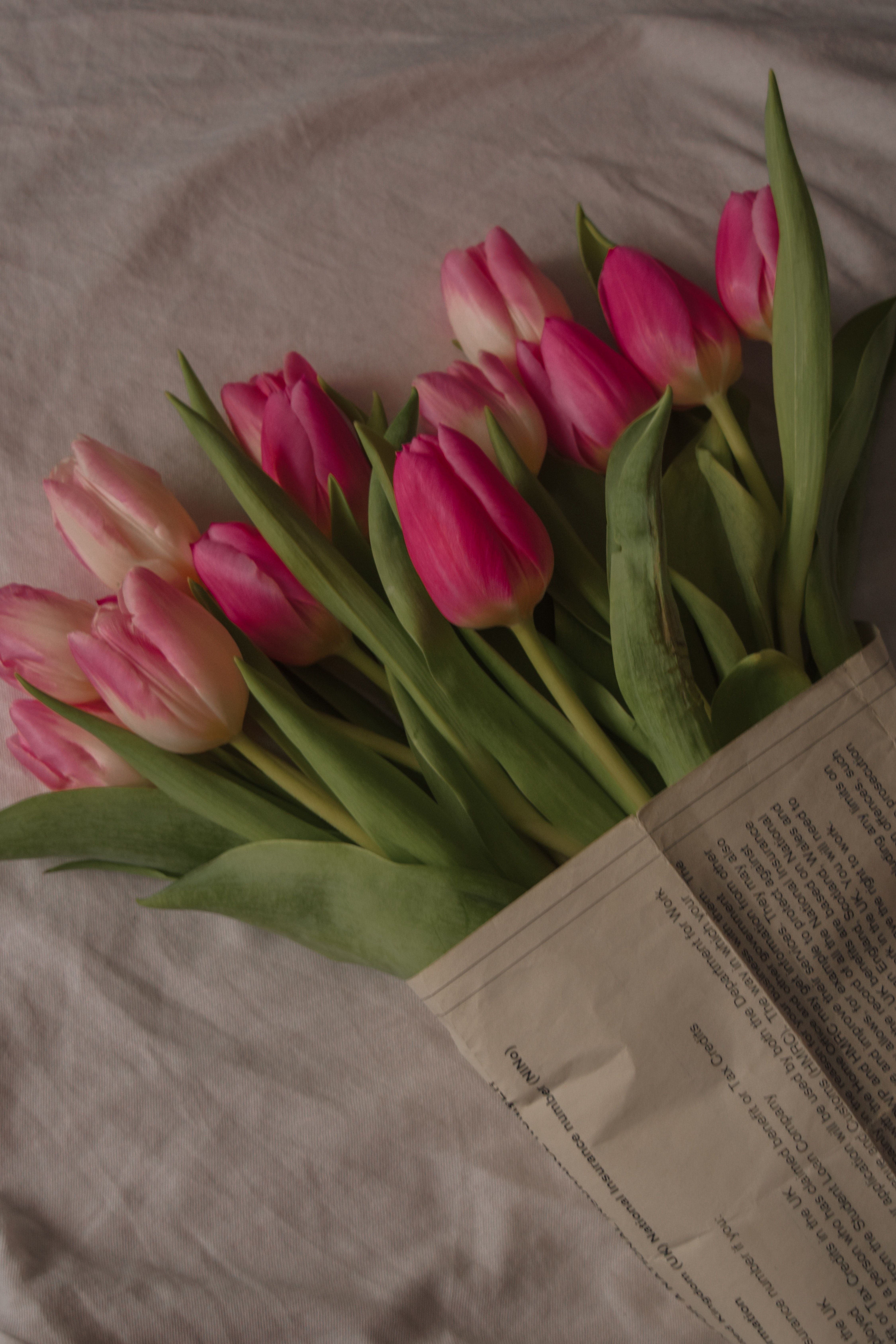 A bouquet of pink tulips sits on a bed next to an open book. - Tulip