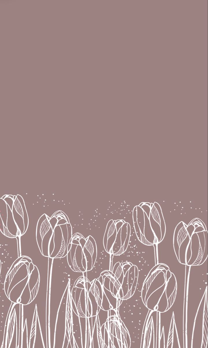 A purple background with white flowers - Tulip