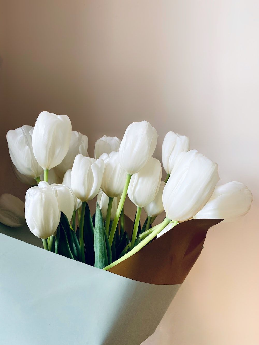 Tulips Bouquet Picture. Download Free Image