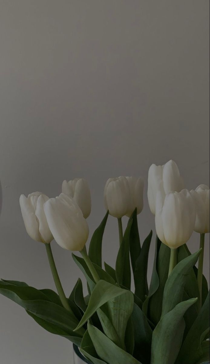 Pin af Belle på Flowers. Vintage, Tulipaner, Baggrund