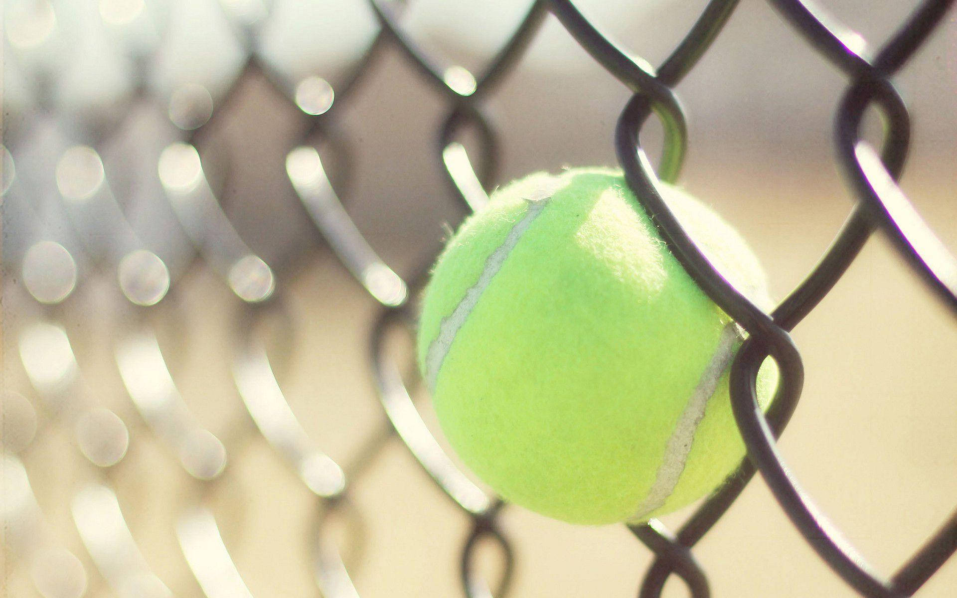 A tennis ball stuck in a chain link fence - Tennis