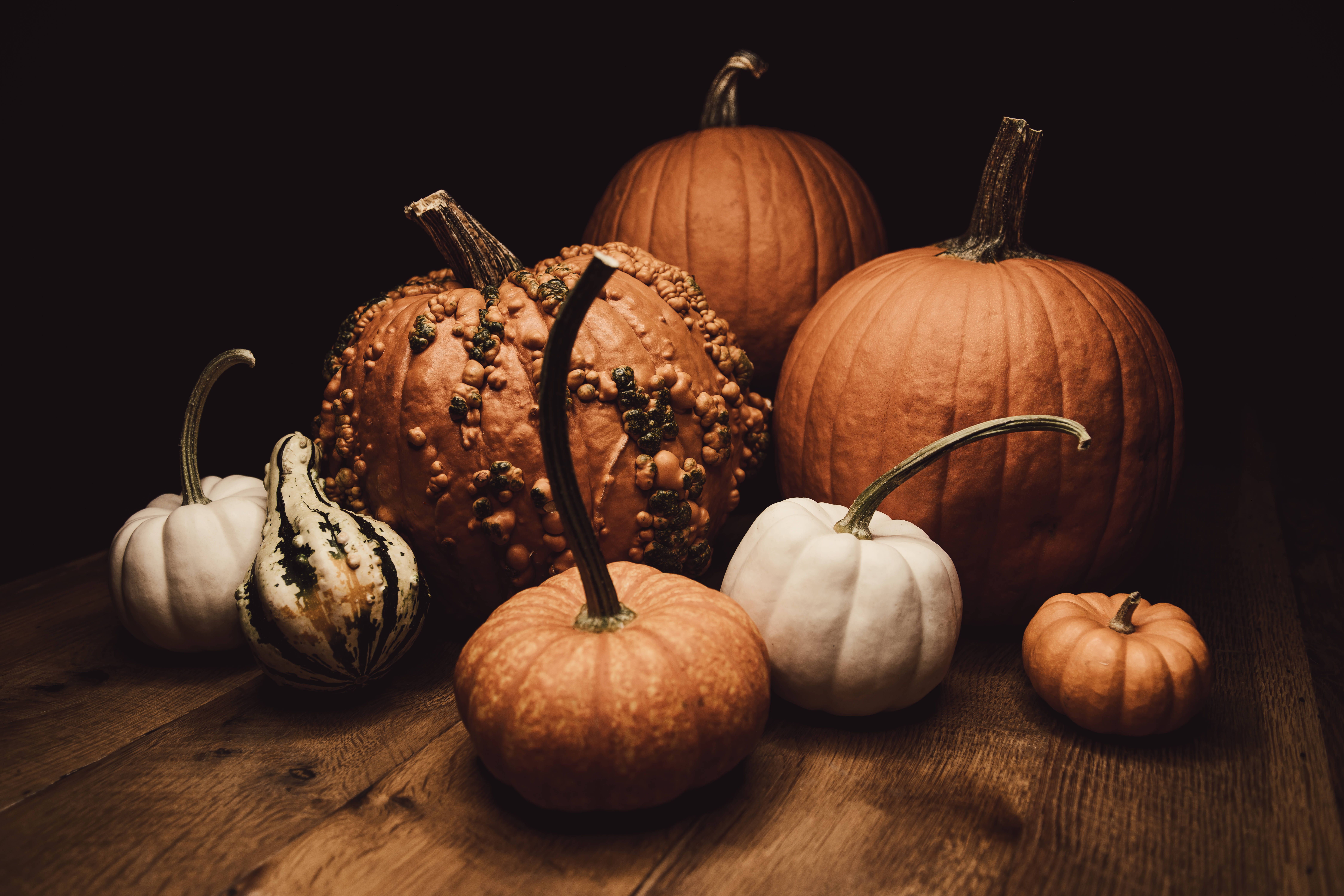 A group of different sized and shaped pumpkins - October, pumpkin, Thanksgiving
