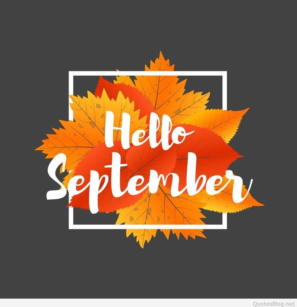 Hello September wallpaper with colorful leaves on a dark background - September