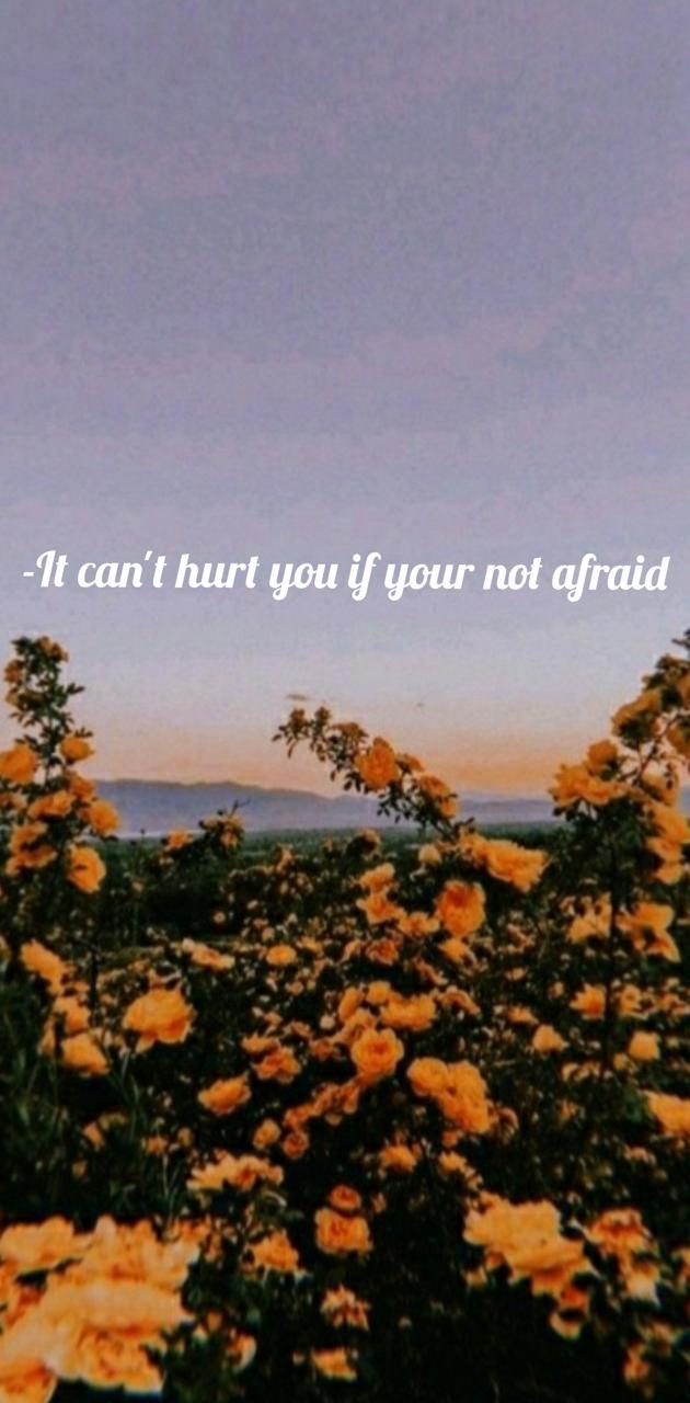 IPhone wallpaper of a field of yellow flowers with a quote in the middle that says 