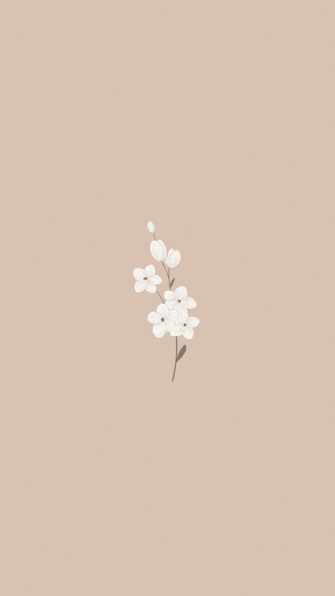 Aesthetic phone background with white flowers on a tan background - Minimalist beige