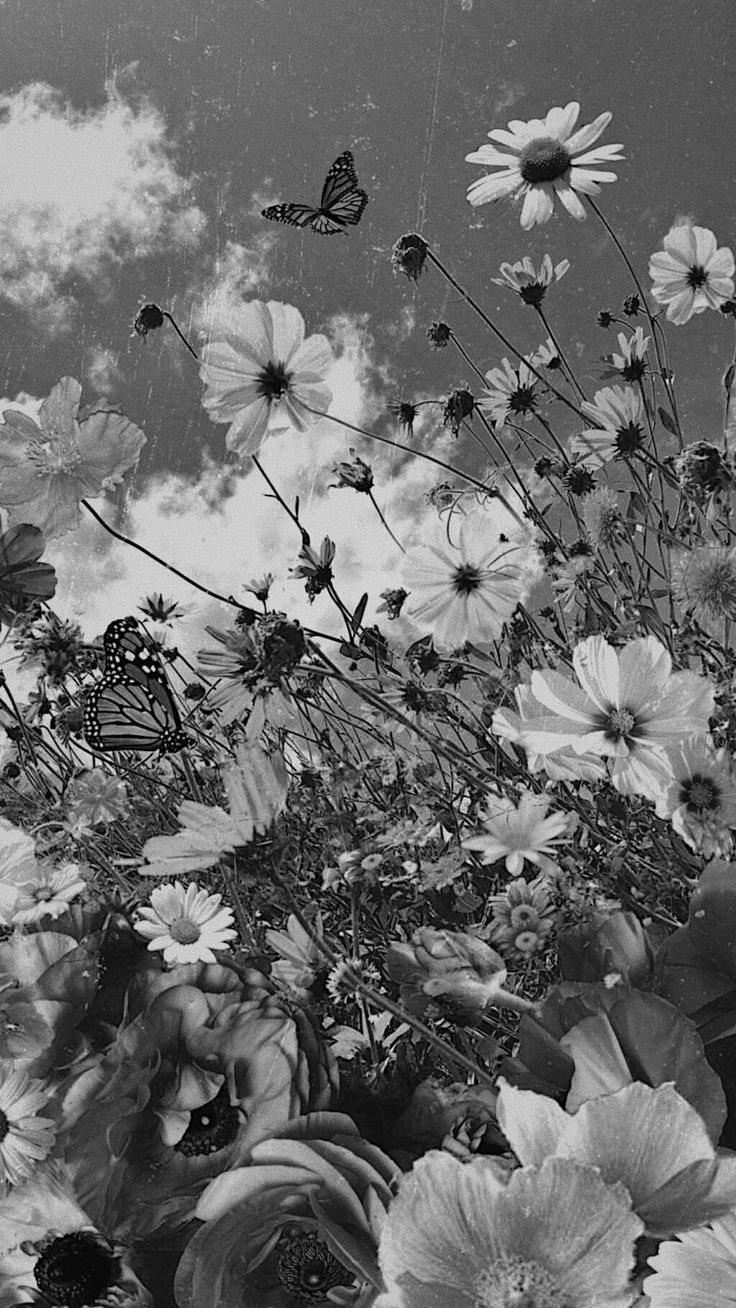 A black and white photo of flowers with butterflies - Black and white