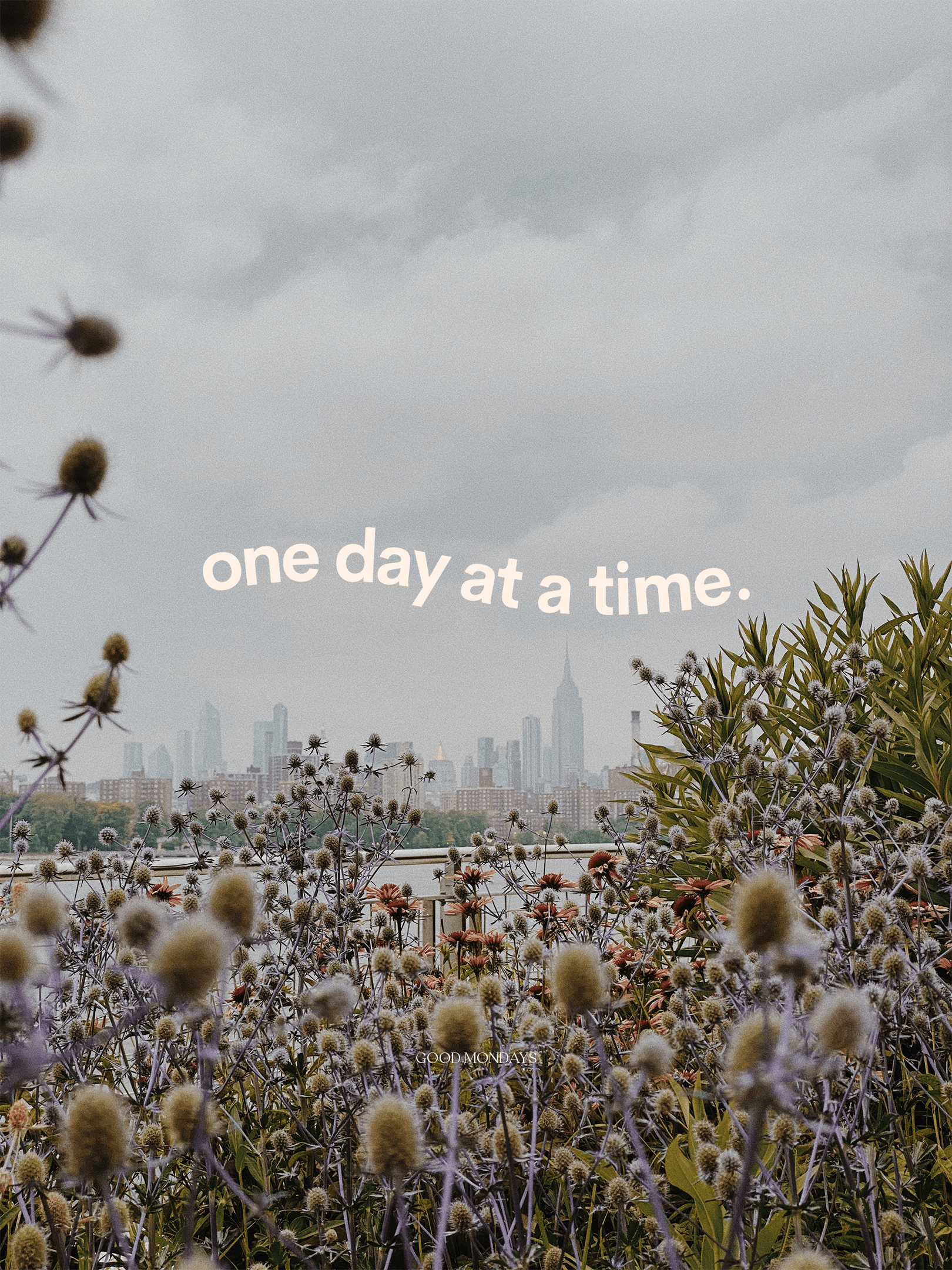 A field of flowers with a city in the background and the words 