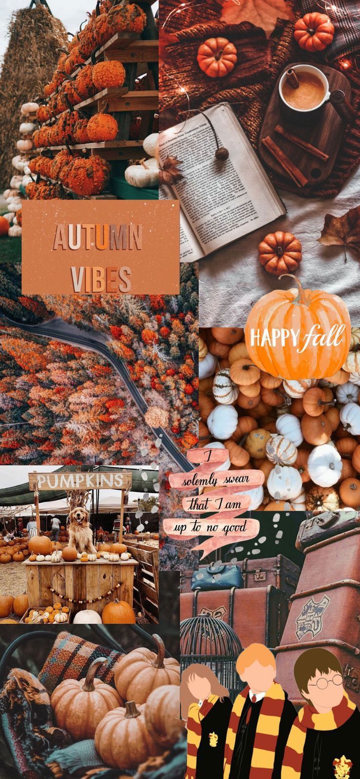 Autumn Collage Wallpaper : Autumn Vibes Wallpaper