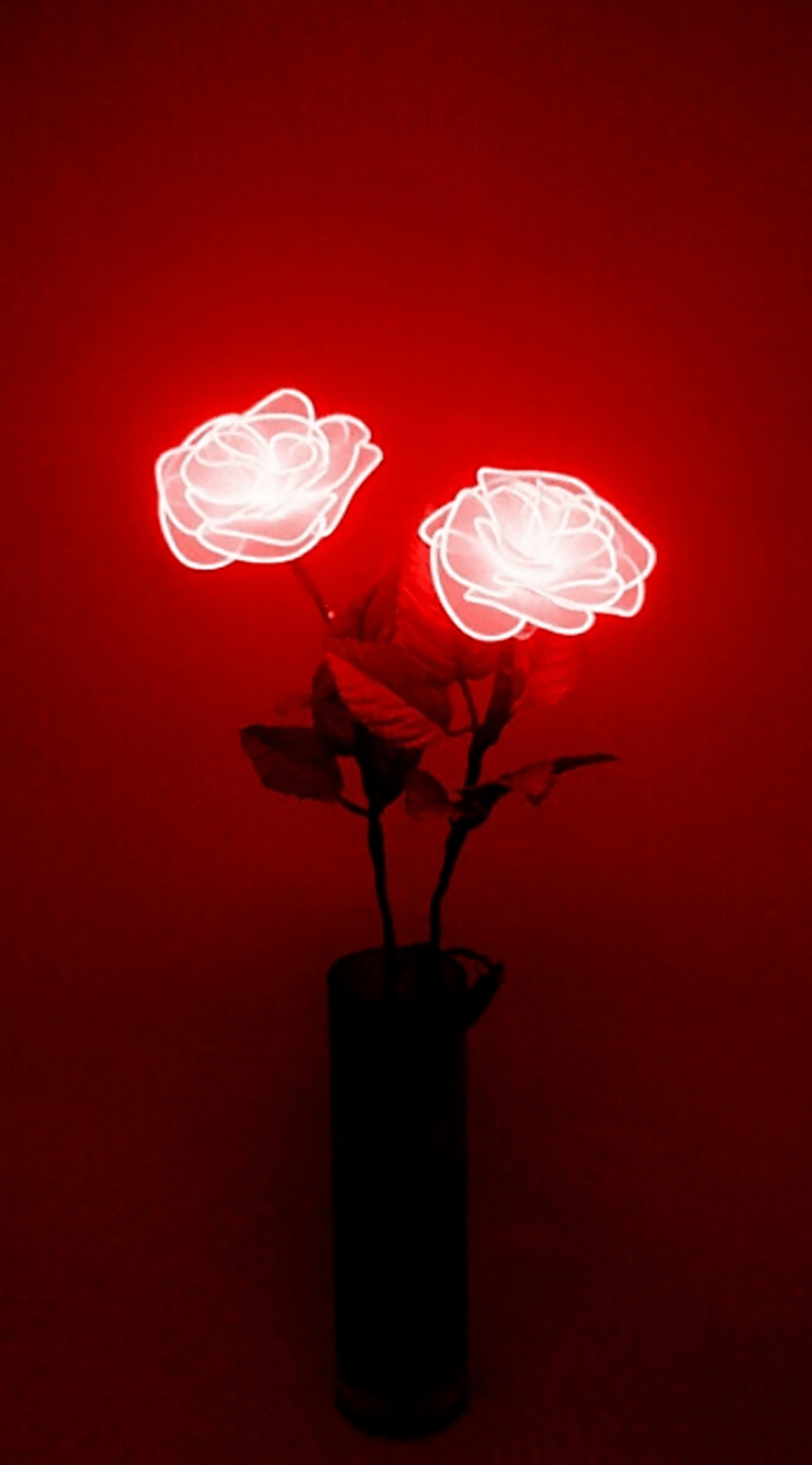 A vase with two roses made of red light. - IPhone red