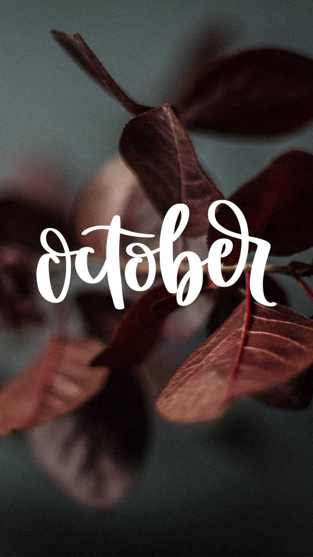 Download October Aesthetic Calligraphy Leaves Wallpaper