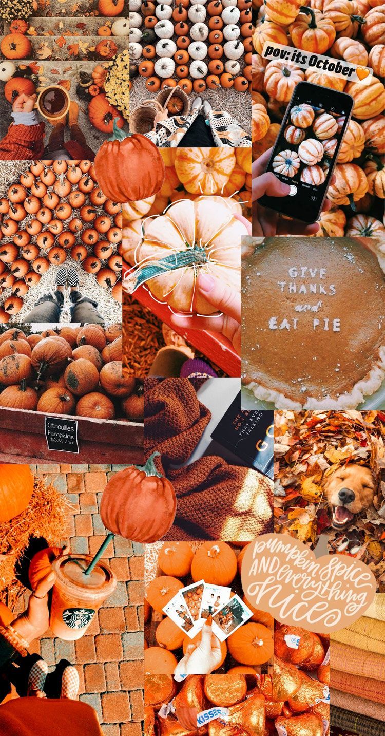 Autumn Collage Wallpaper : Everything Spices