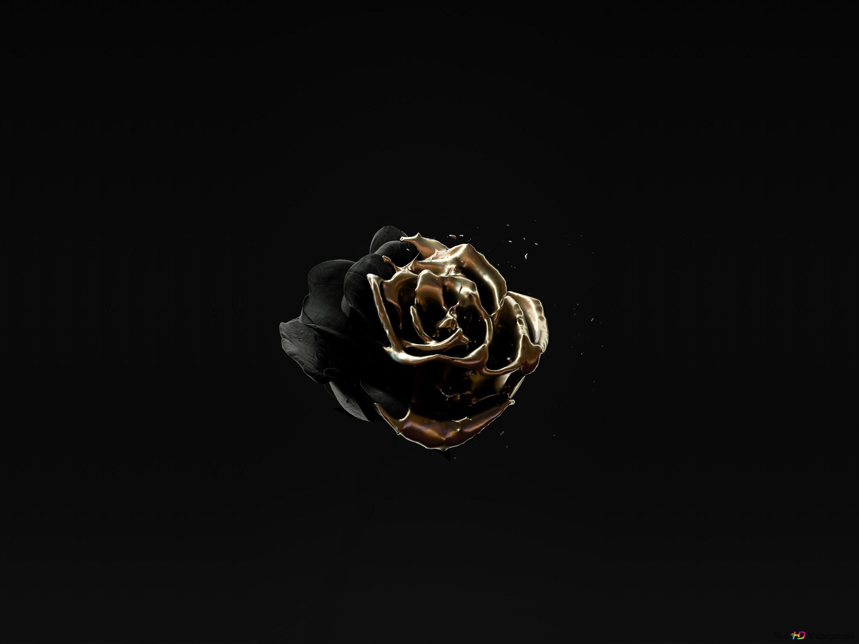 Image of rose gold color on black background 4K wallpaper download